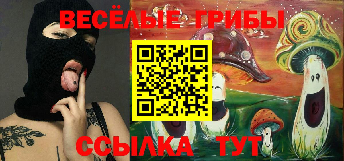 Галлюциногенные грибы Psilocybe Отрадный